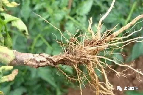 1598857499418096801.png 640.png